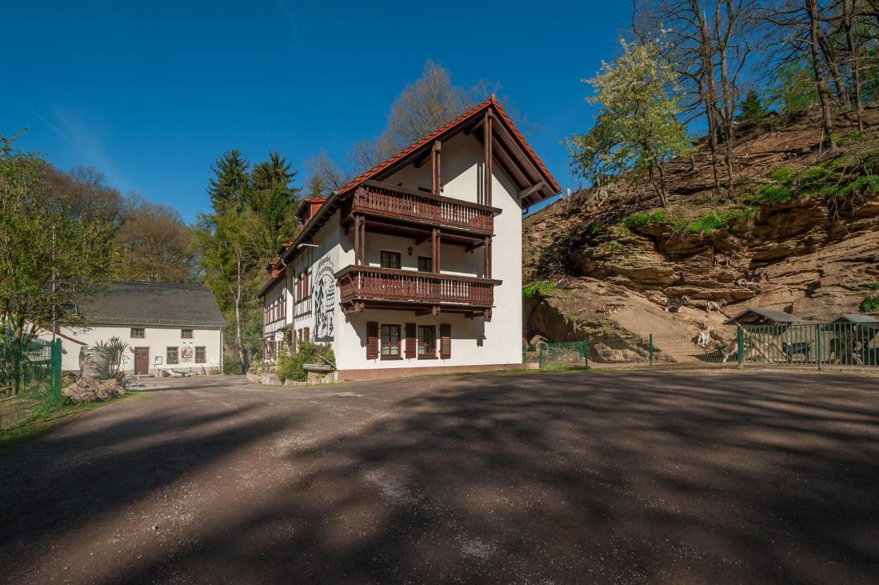 Zur Margarethenmuehle - Landgasthof Und Waldhotel Rosswein エクステリア 写真