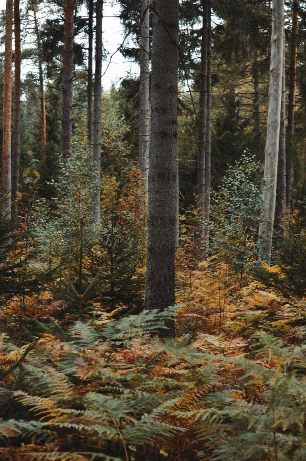 Zur Margarethenmuehle - Landgasthof Und Waldhotel Rosswein エクステリア 写真